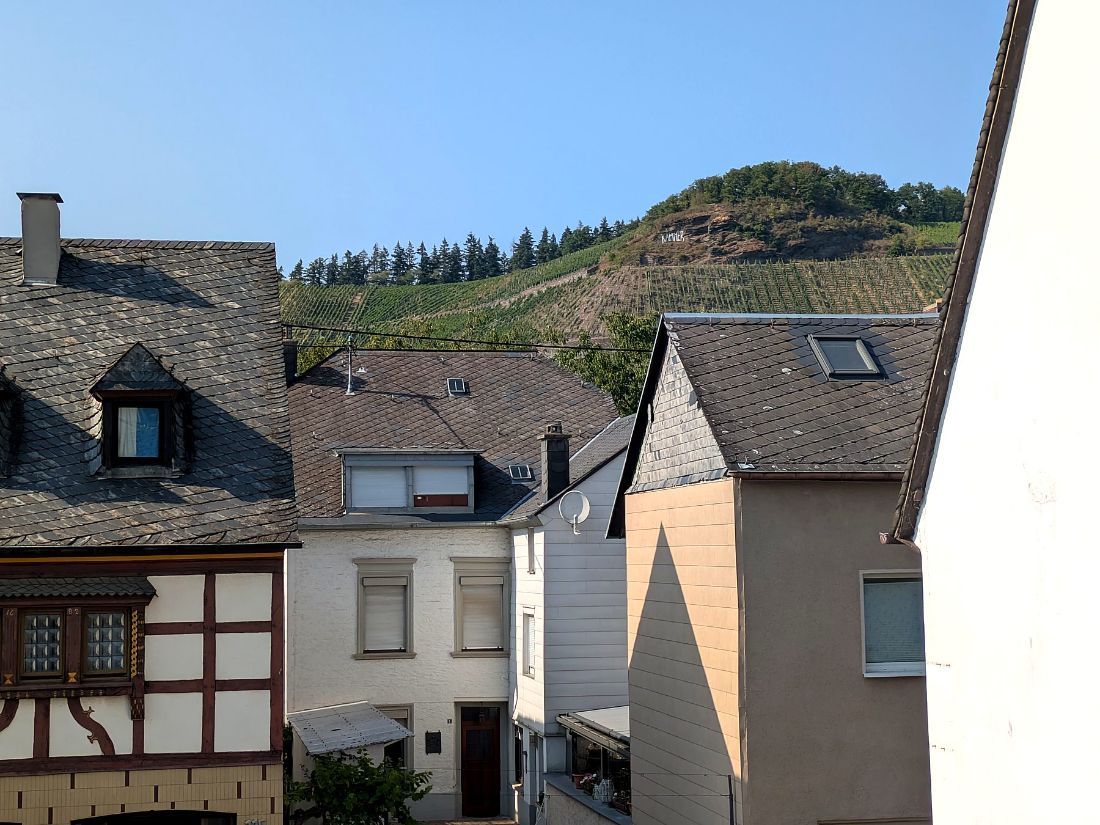 Blick über die Dächer von Brauneberg auf die Weinberge